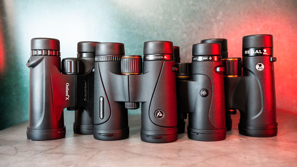 Celestron Showdown: Battle of the 10x42s